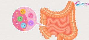 Cách sử dụng bộ đôi E-zyms giúp giảm rối loạn tiêu hóa kém hấp thu hiệu quả