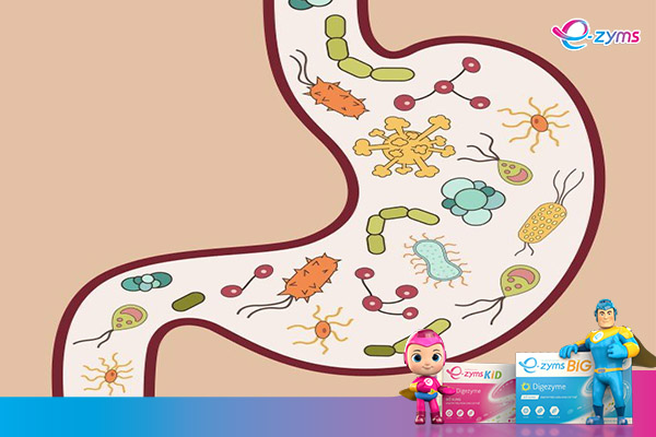 Kém hấp thu là chứng bệnh không nên coi thường