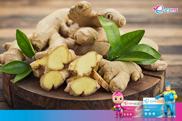 Gừng là thực phẩm rất tốt cho người bị đầy hơi, chướng bụng