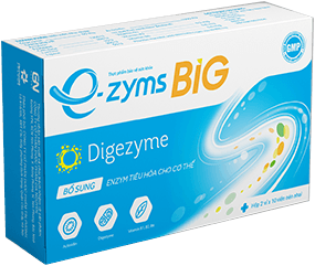 E-ZYMS BIG