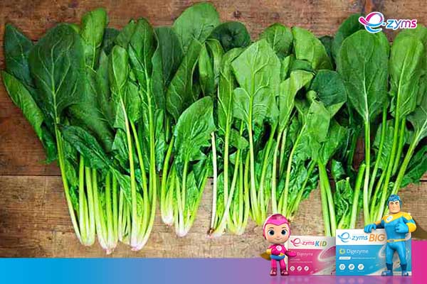 Vitamin B9 hay axit folic có nhiều trong rau cải bó xôi